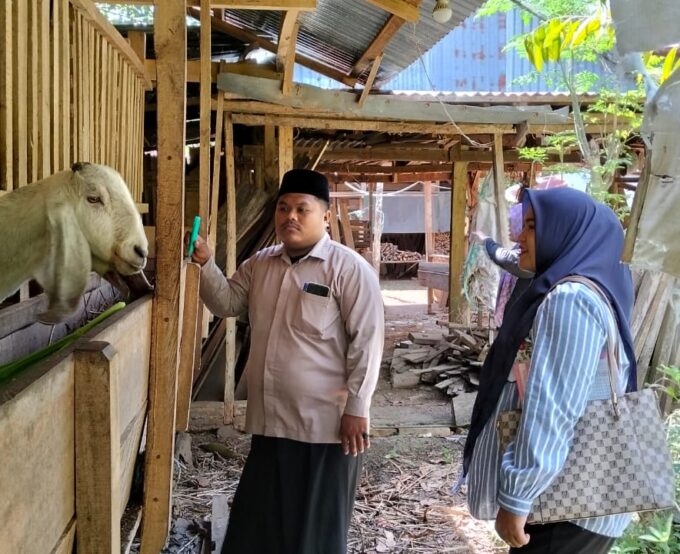 Dinas Peternakan Bulukumba Pantau Kesehatan Kambing Etawa di Ponpes As’adiyah Galung Beru Dinas Peternakan Bulukumba Pantau Kesehatan Kambing Etawa di Ponpes As’adiyah Galung Beru